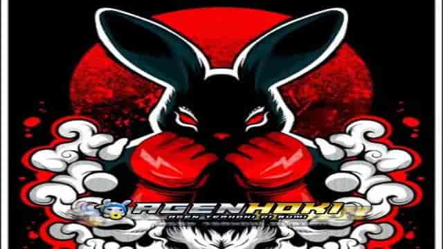 Amerikatoto 168 site