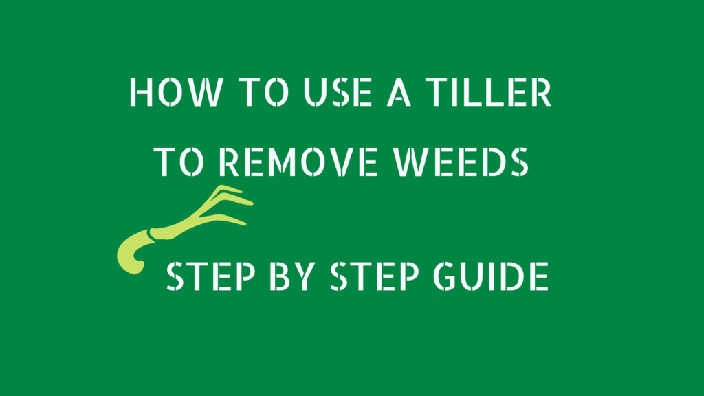 HOW TO USE A TILLER TO REMOVE WEEDS STEP BY STEP GUIDE
