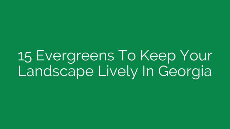15 Evergreens To Keep Your Landscape Lively In Georgia