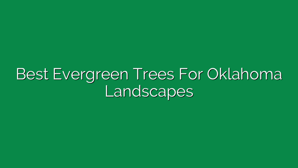 Best Evergreen Trees For Oklahoma Landscapes
