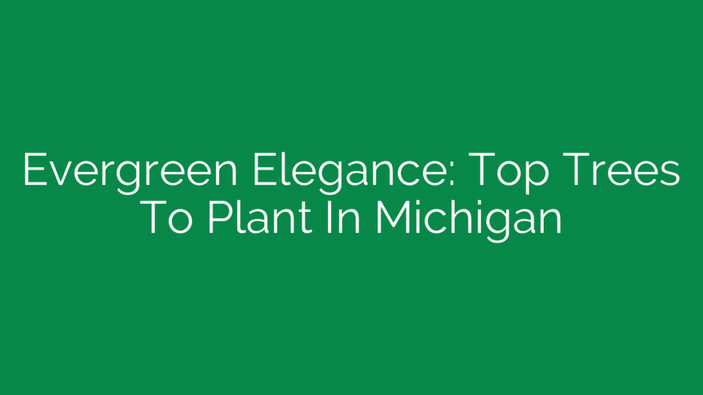 Evergreen Elegance: Top Trees To Plant In Michigan