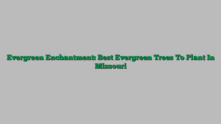 Evergreen Enchantment: Best Evergreen Trees To Plant In Missouri
