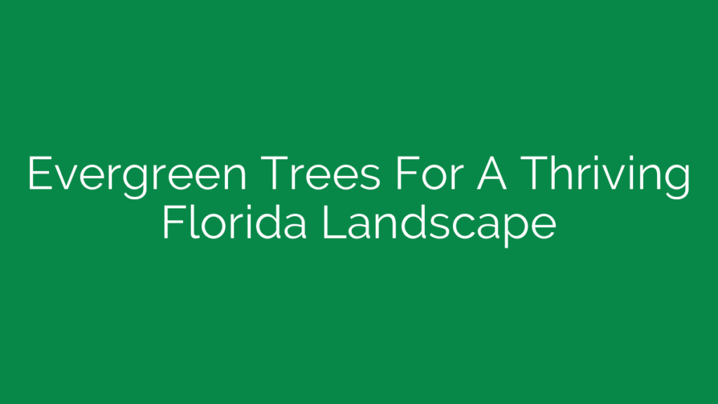 Evergreen Trees For A Thriving Florida Landscape