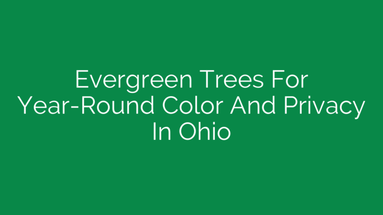 Evergreen Trees For Year-Round Color And Privacy In Ohio