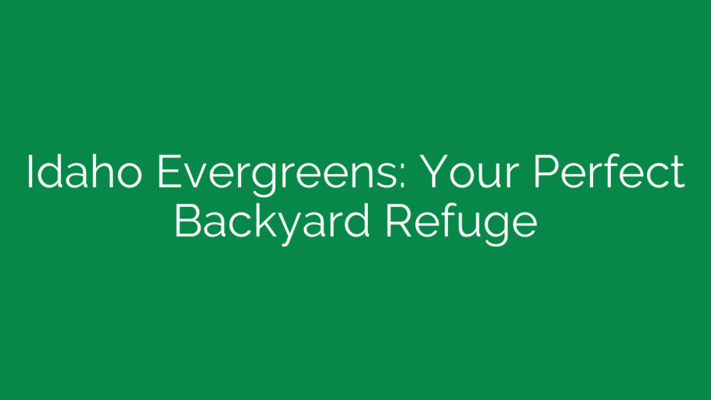 Idaho Evergreens: Your Perfect Backyard Refuge
