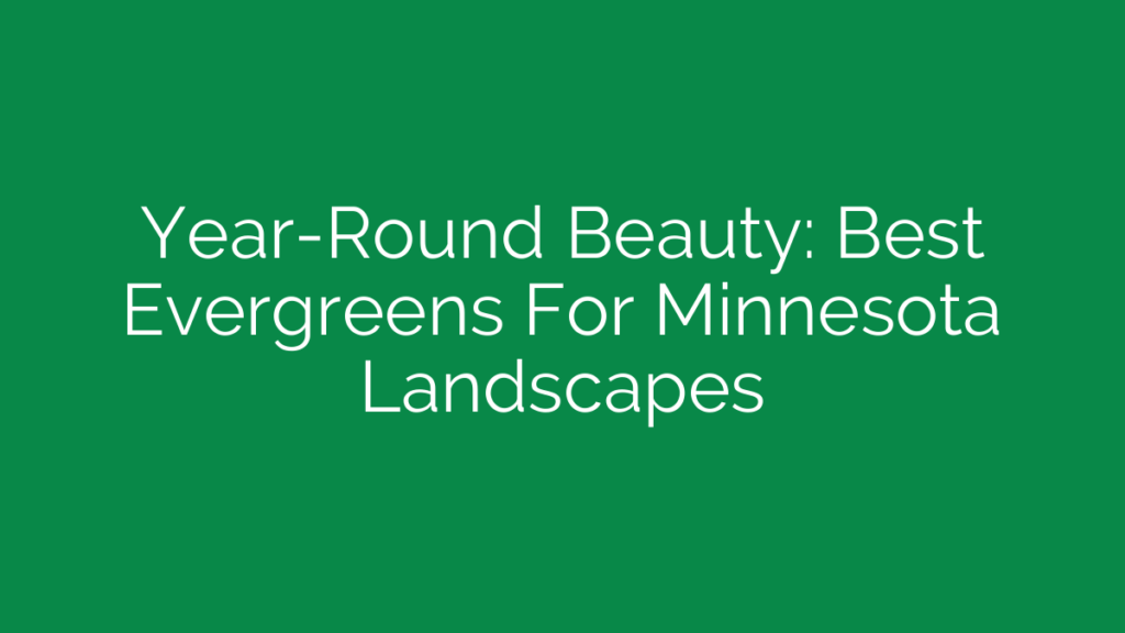 Year-Round Beauty: Best Evergreens For Minnesota Landscapes