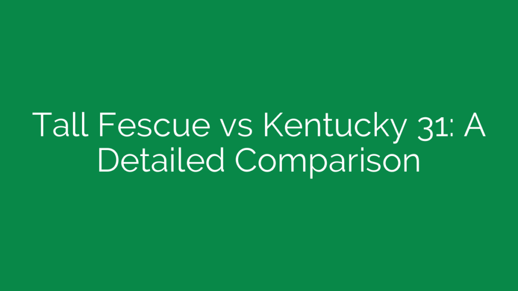 Tall Fescue vs Kentucky 31: A Detailed Comparison